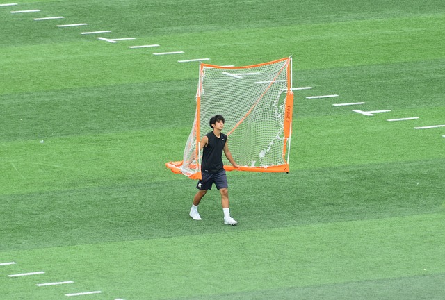 只进一个球